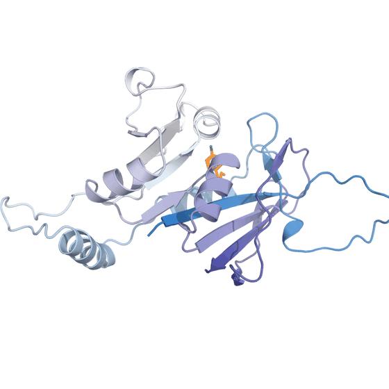 Rotating cartoon structure of Plasmodium falciparum dihydrofolate reductase with its bound antifolate inhibitor